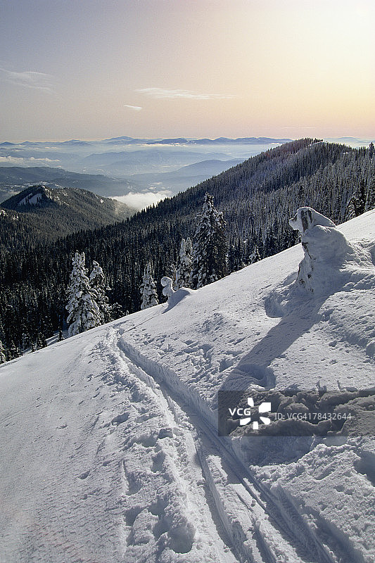 雪山上的滑雪道图片素材