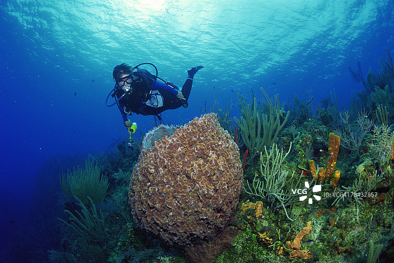 巨型桶状海绵和潜水员，水下图片素材