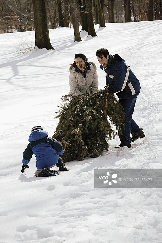 在雪地里和圣诞树在一起的家庭图片素材