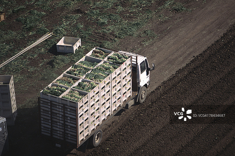 装载收获洋葱的卡车图片素材