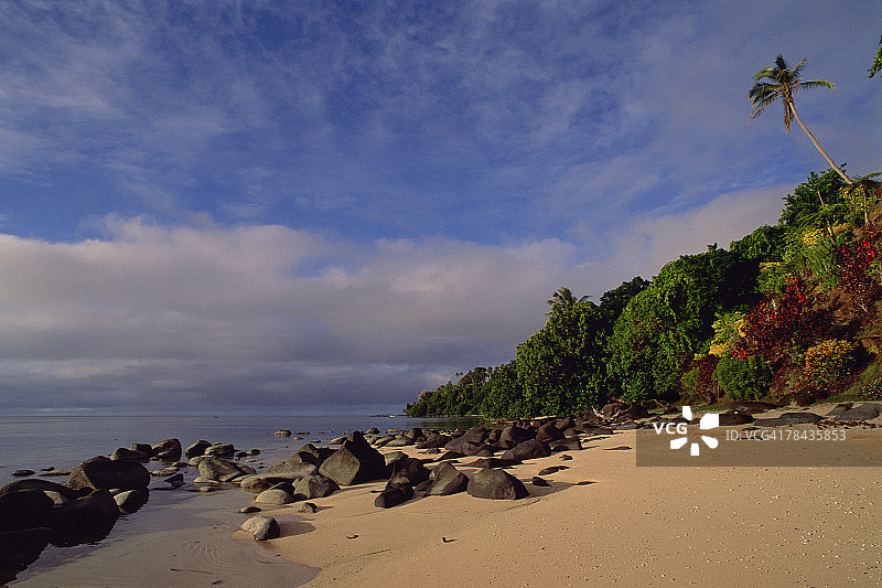 斐济塔韦乌尼岛的幽静海滩和棕榈树图片素材