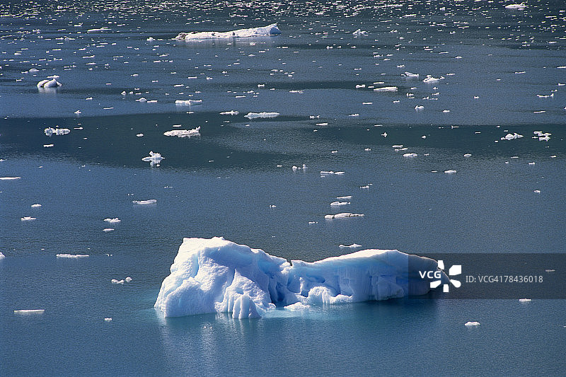 阿拉斯加威廉王子湾学院峡湾的冰川图片素材