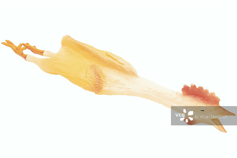 橡胶鸡图片素材