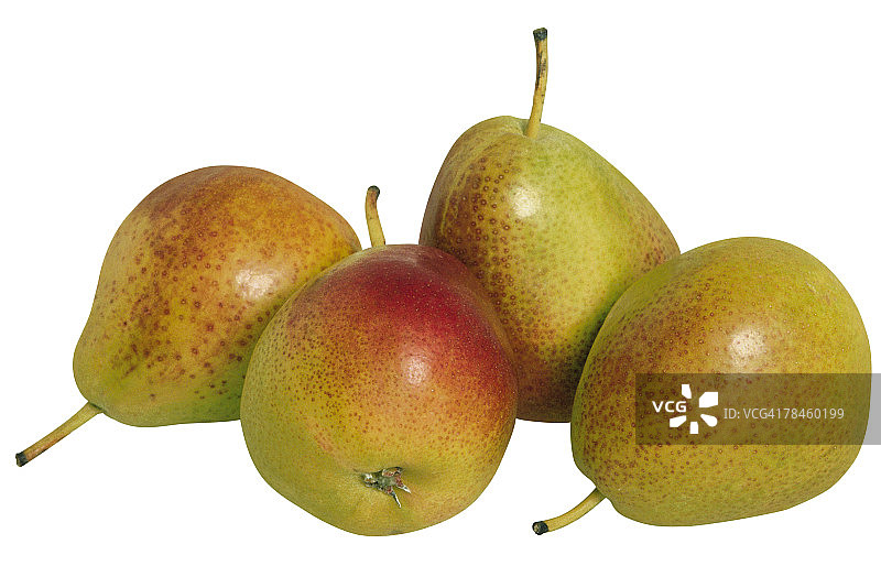 佛雷利梨图片素材