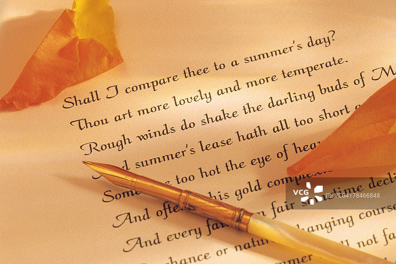 羽毛笔、诗歌与玫瑰花瓣图片素材