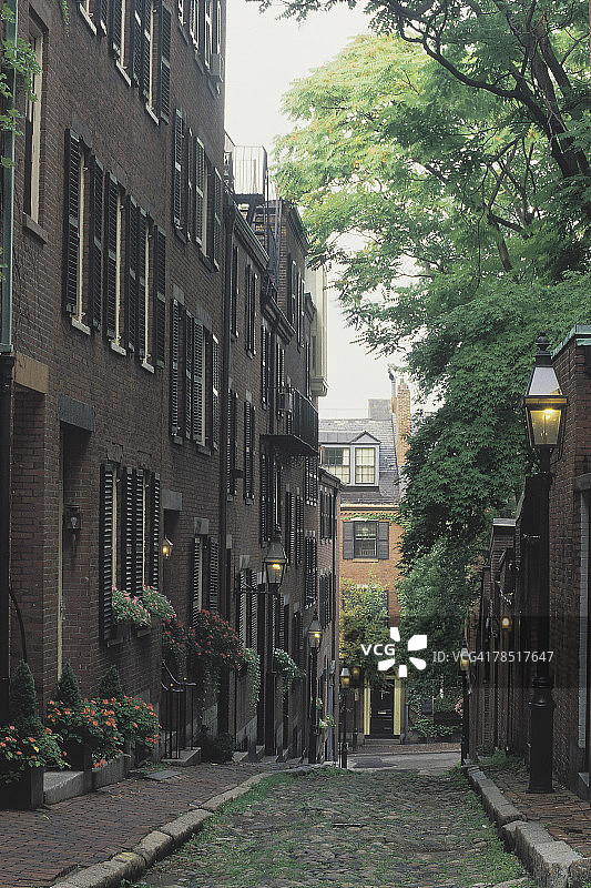 美国马萨诸塞州波士顿的橡子街图片素材