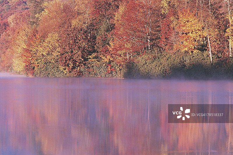 普莱斯湖，皮斯加国家森林，北卡罗来纳州图片素材