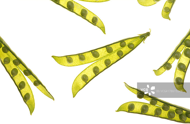 豌豆荚图片素材