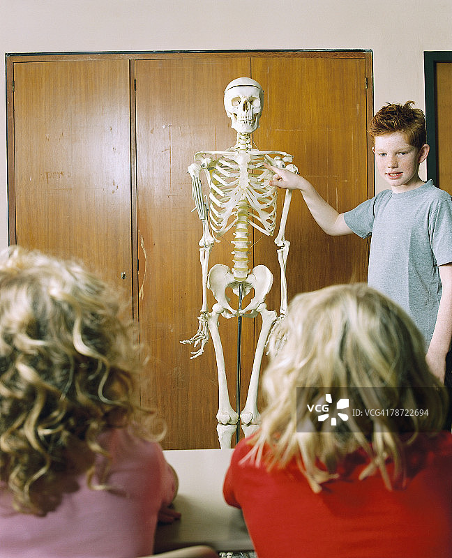 学生讨论人体骨骼图片素材