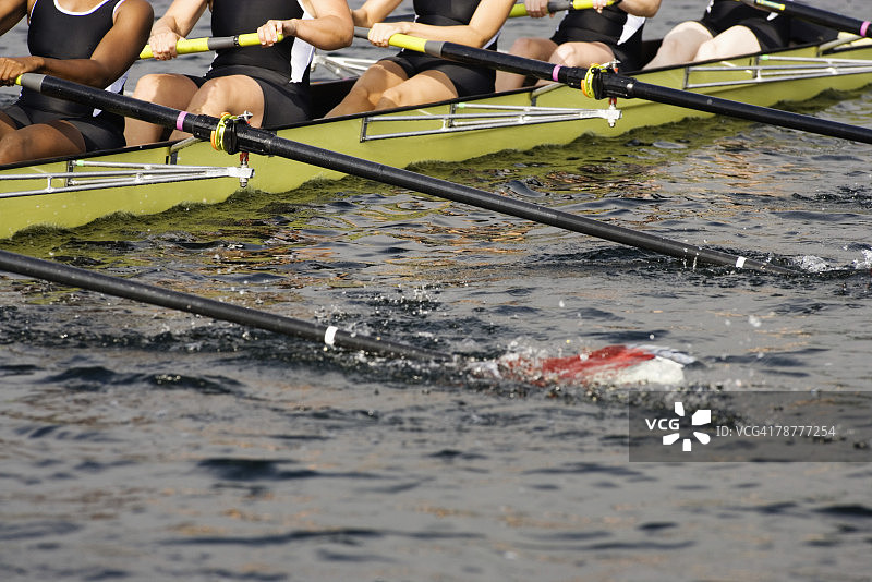 赛艇比赛图片素材