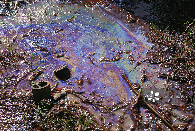 ima27164图片素材