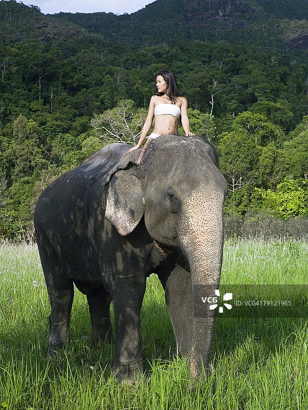 年轻女子骑着大象图片素材