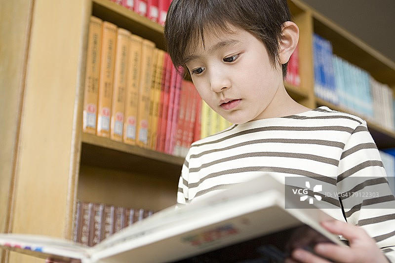 正在读书的男孩图片素材