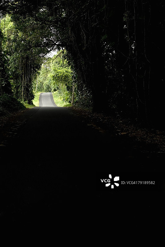 途经夏威夷大岛卡拉帕纳景观的绿树成荫的道路图片素材