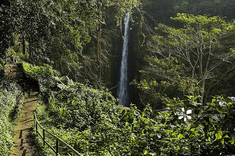阿卡卡瀑布州立公园的阿卡卡瀑布高角度视图，夏威夷群岛，美国图片素材