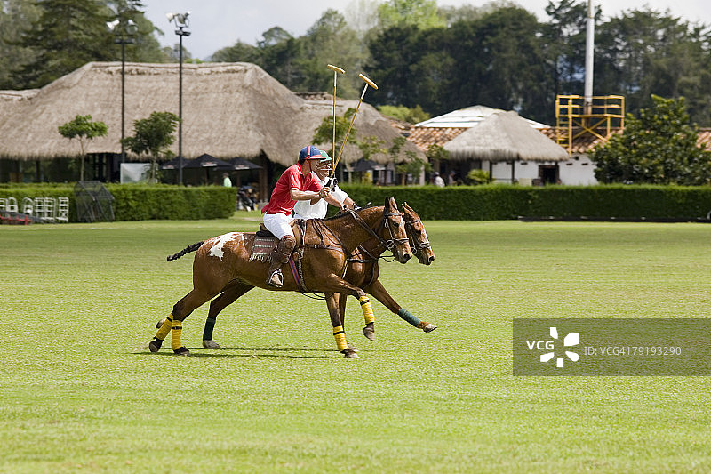 两名马球运动员正在打马球图片素材