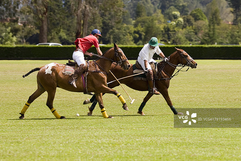 两名马球运动员正在打马球图片素材