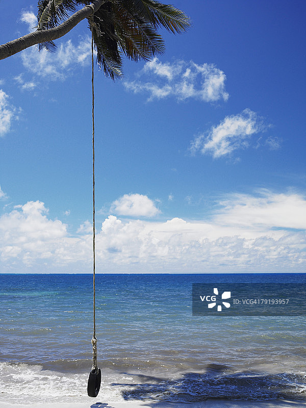 在海边的轮胎秋千，位于哥伦比亚普罗维登西亚岛曼萨尼约海滩图片素材