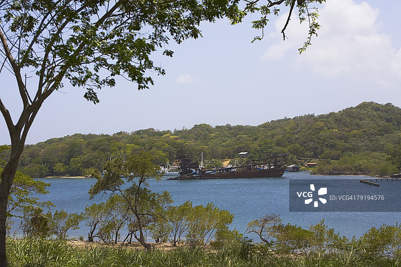 河边的树木，罗阿坦岛迪克逊湾，洪都拉斯海湾群岛图片素材