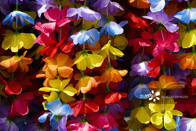 美国夏威夷大岛科纳花环特写图片素材