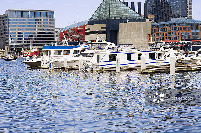 停泊在美国马里兰州巴尔的摩内港国家水族馆港口的船只图片素材