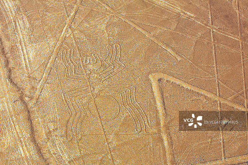 秘鲁纳斯卡蜘蛛图案线条地画鸟瞰图图片素材