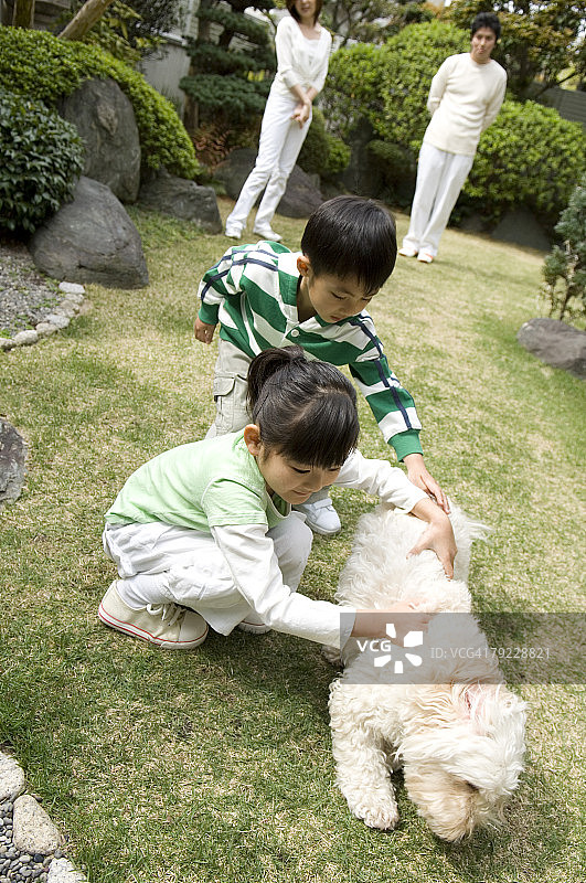 孩子们在和小狗玩耍图片素材