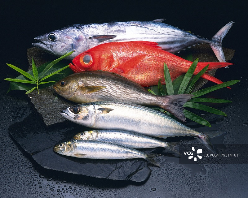 叶子和石头上的海鲜，高角度视图，黑色背景图片素材