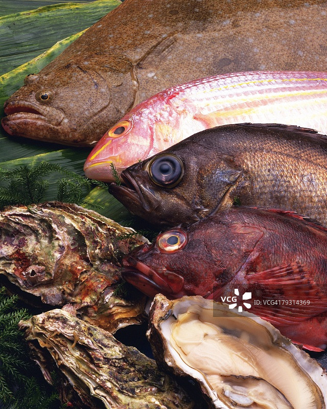 树叶上的海鲜，高角度拍摄图片素材