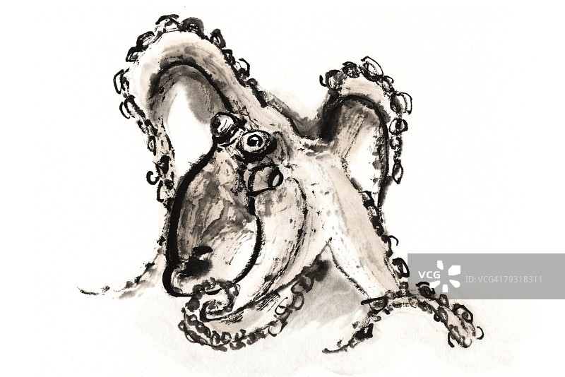 水墨章鱼图片素材