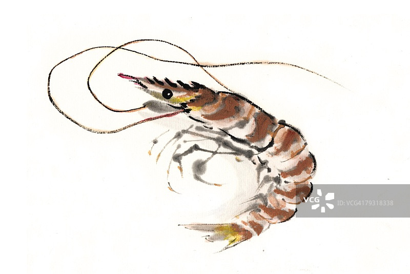螯虾，水墨画图片素材
