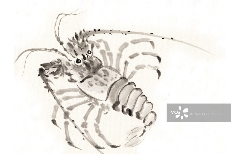 小龙虾水墨画图片素材