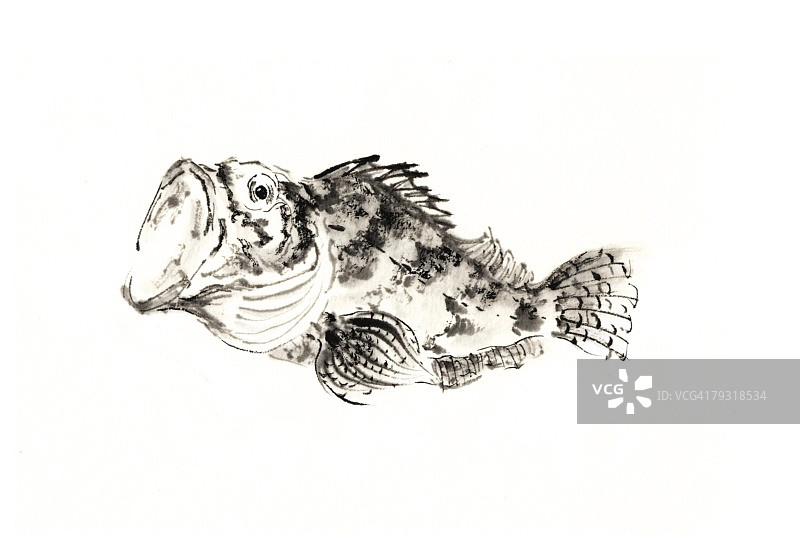 水墨画：蝎子鱼图片素材