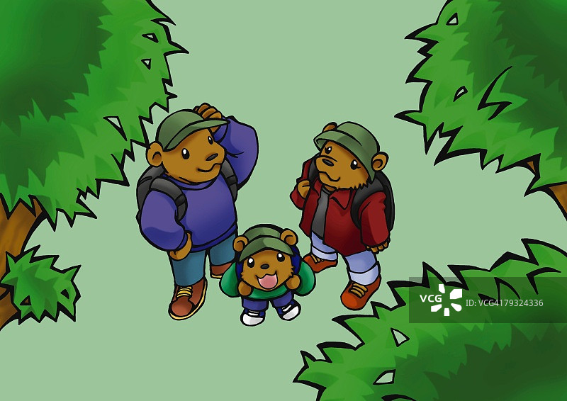 三只熊抬头站立在树林里，高角度视角图片素材