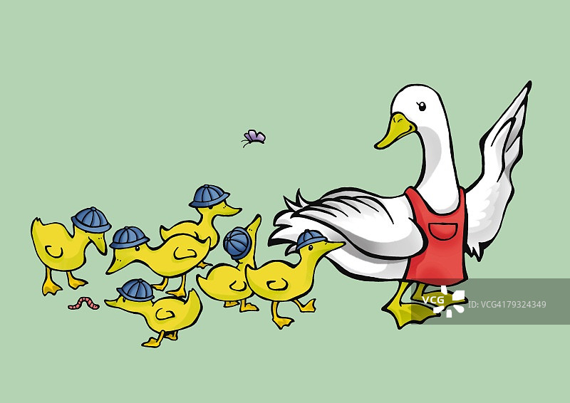 鸭子照顾小鸭子，侧视图，绿色背景图片素材