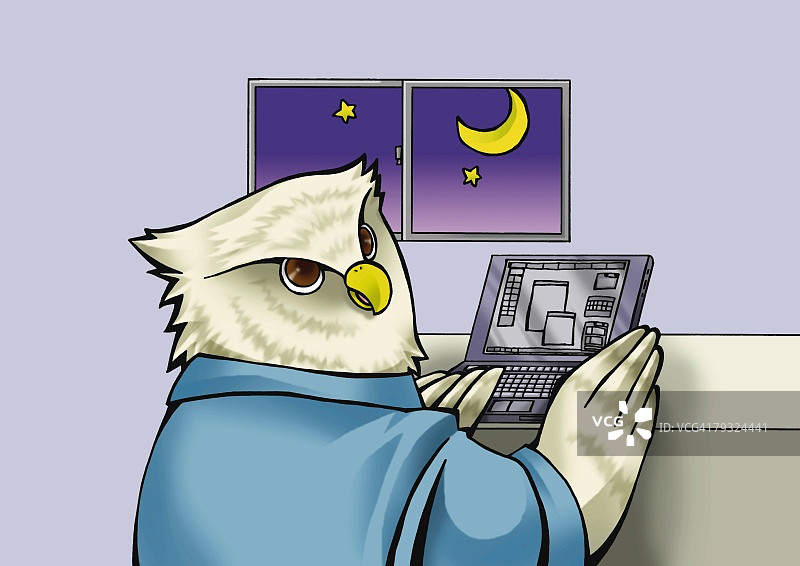猫头鹰使用笔记本电脑侧视图蓝色背景图片素材