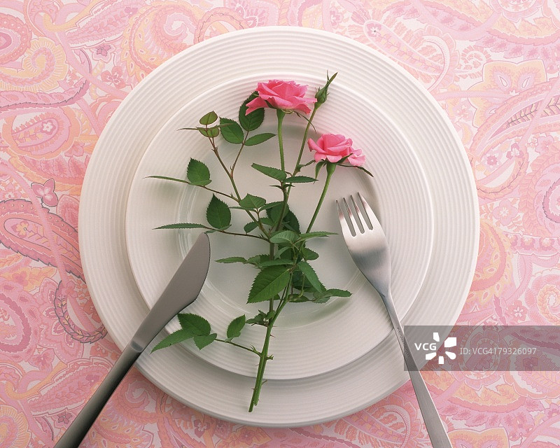 餐盘上的玫瑰花，高角度拍摄，柔焦效果图片素材