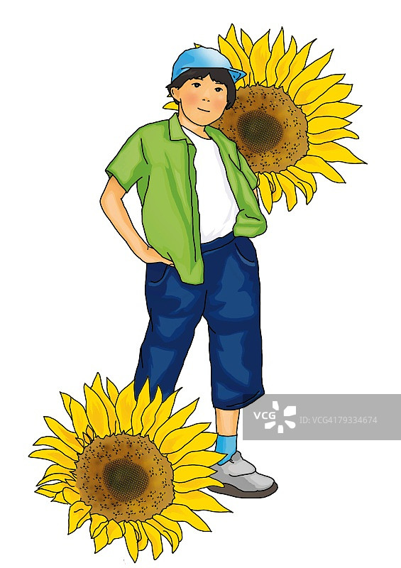 抱着向日葵的男孩肖像，正面视角，白色背景，抠图图片素材