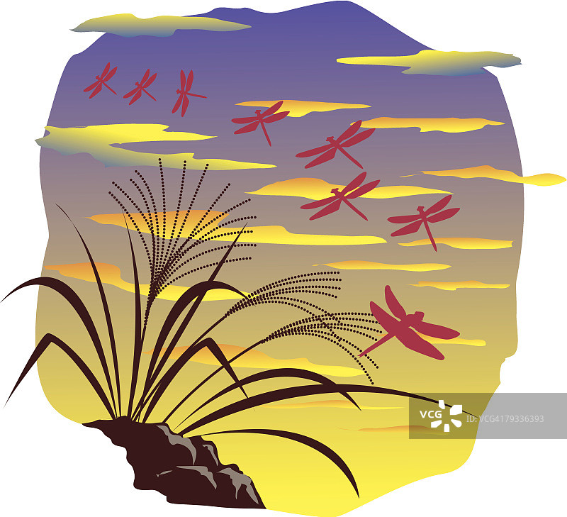 蒲苇与红色蜻蜓图片素材