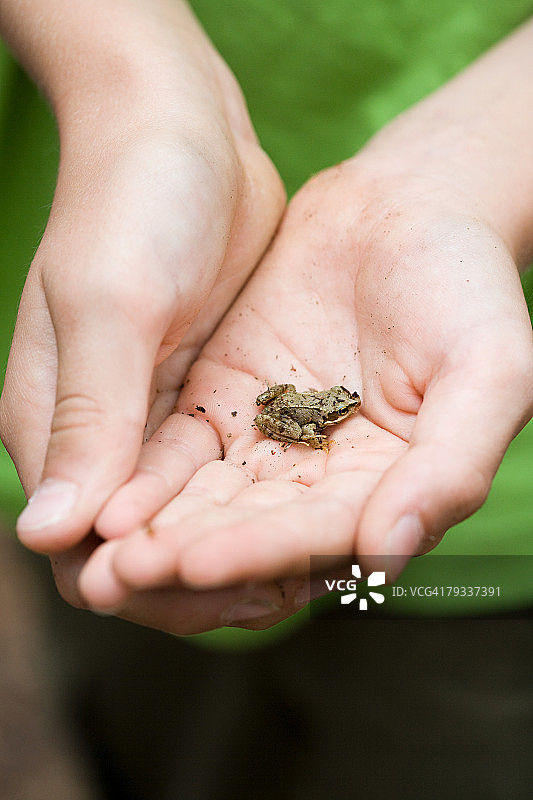 拿着小青蛙的儿童图片素材