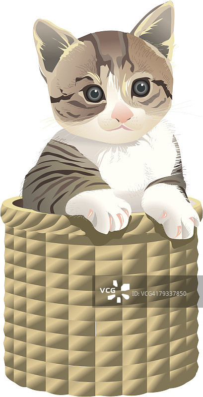 篮子里的猫图片素材