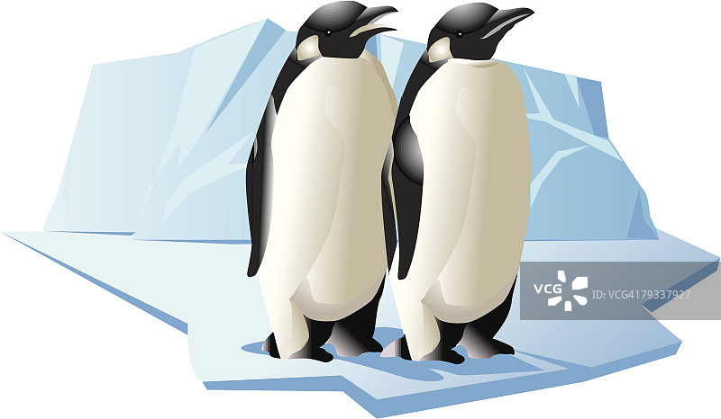 两只企鹅肩并肩站立，侧视图图片素材