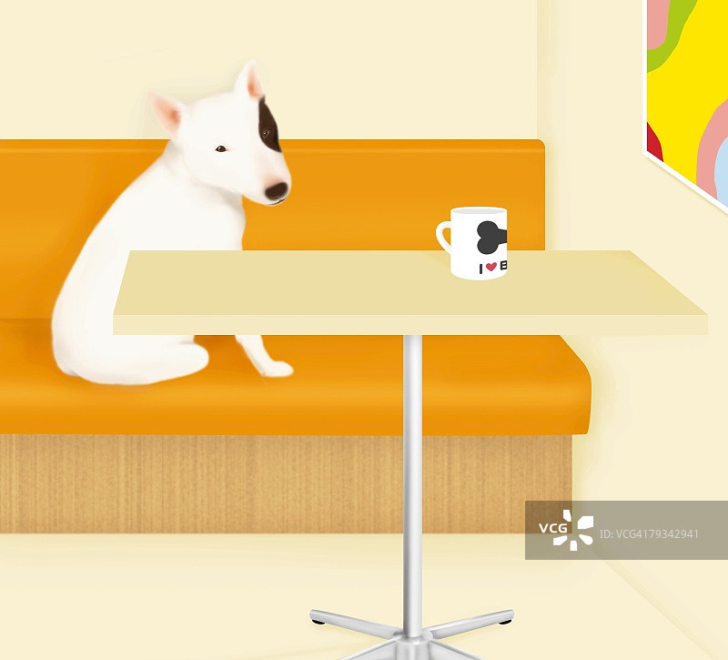 牛头㹴坐在沙发上（侧面）图片素材