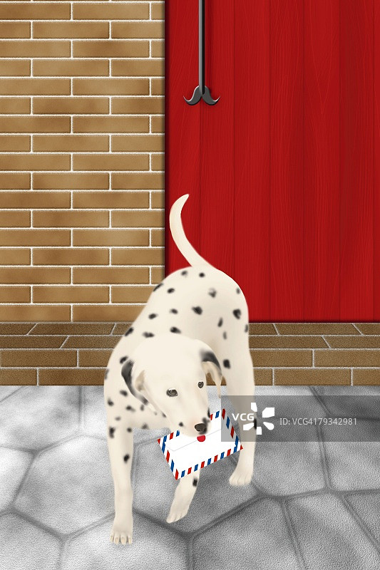 达尔马提亚犬嘴里叼着一个信封，高角度拍摄图片素材