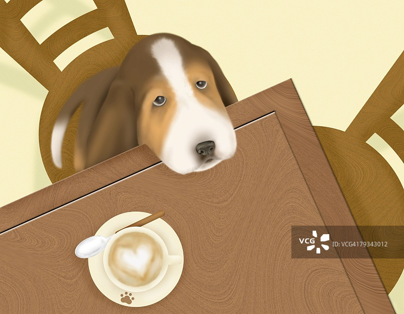 巴吉度猎犬趴在桌子上（高角度拍摄）图片素材