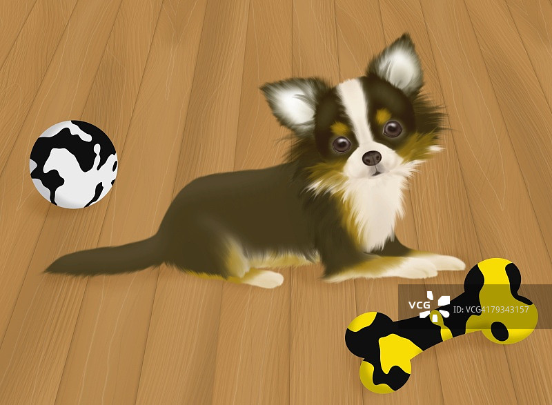 吉娃娃玩玩具侧视图图片素材