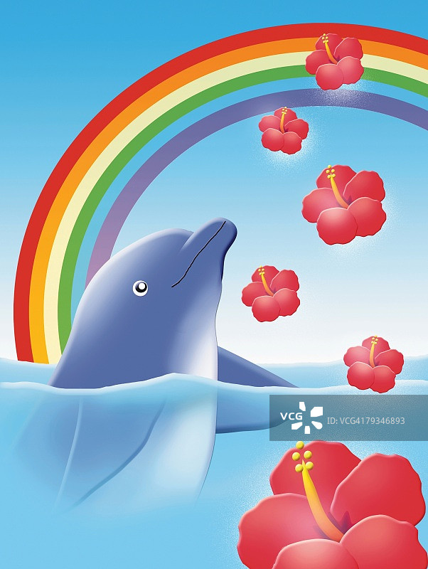 海豚与彩虹和芙蓉花绘画插图图片素材