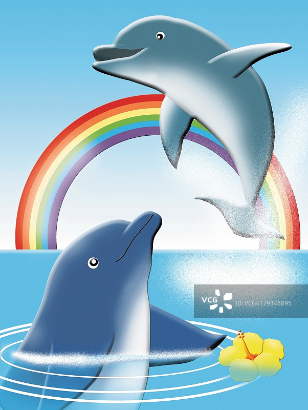 彩虹与芙蓉花海豚绘画插图图片素材