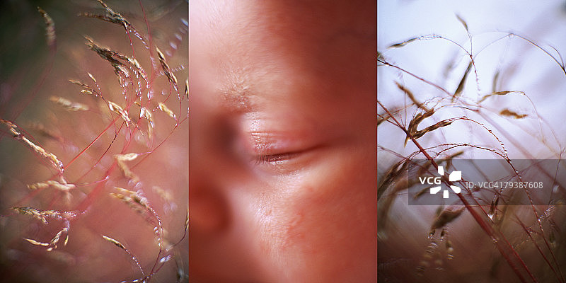 PAA102000022图片素材