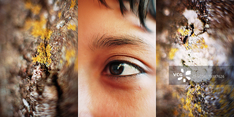 PAA102000031图片素材